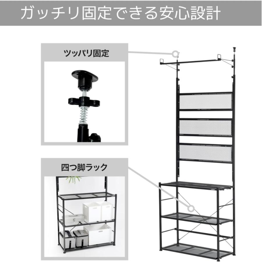 ビビラボ（BIBILAB） ビザールプランツウォールラック LPW-2100-BK