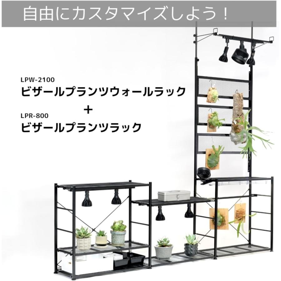 ビビラボ（BIBILAB） ビザールプランツウォールラック LPW-2100-BK