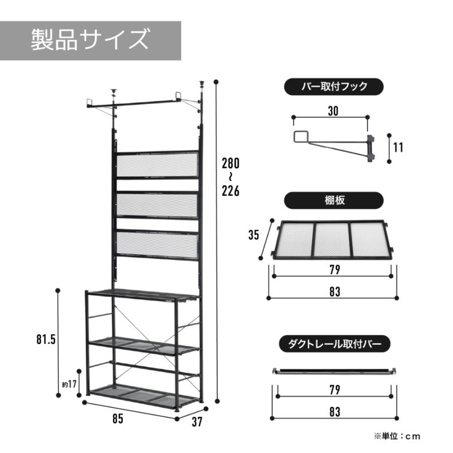 ビビラボ（BIBILAB） ビザールプランツウォールラック LPW-2100-BK