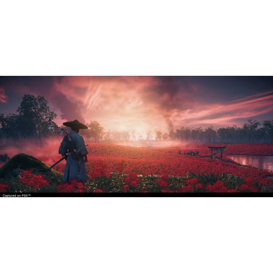 Ghost of Tsushima Director's Cut (輸入版) - PS5｜gamers-world-choice｜13