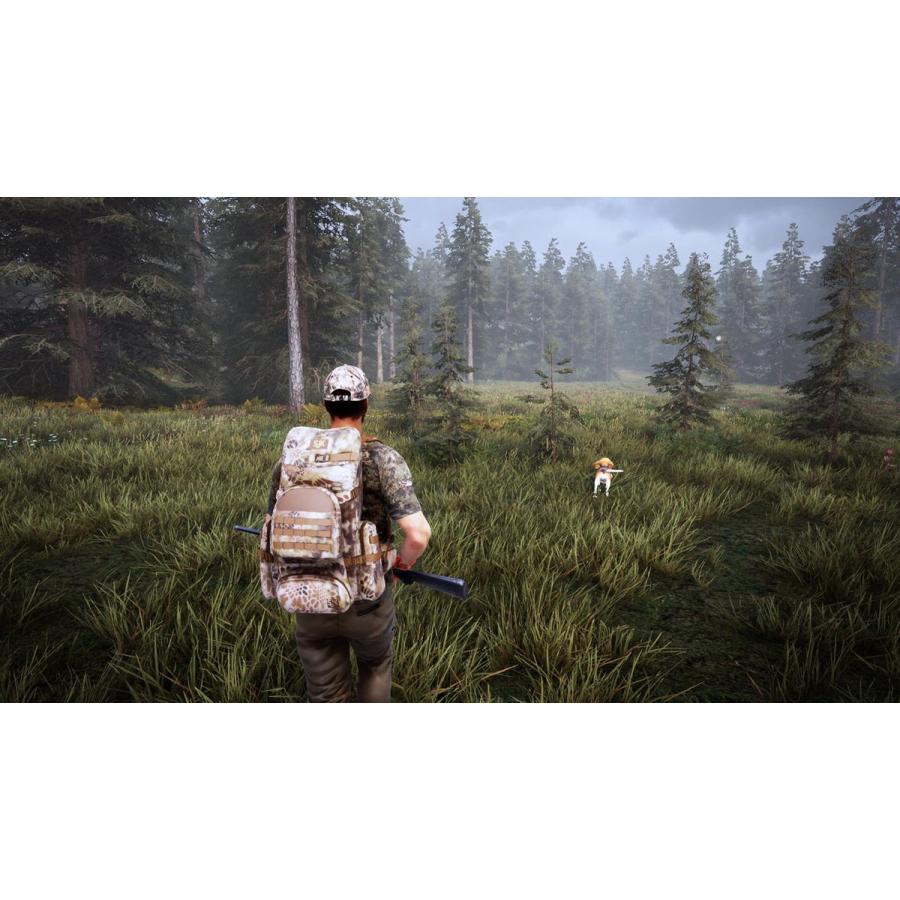 Hunting Simulator 2 (輸入版) - PS4｜gamers-world-choice｜06