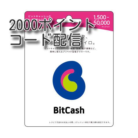 ビットキャッシュ(BitCash) 2000円分　コード通知　土日対応｜gamkg