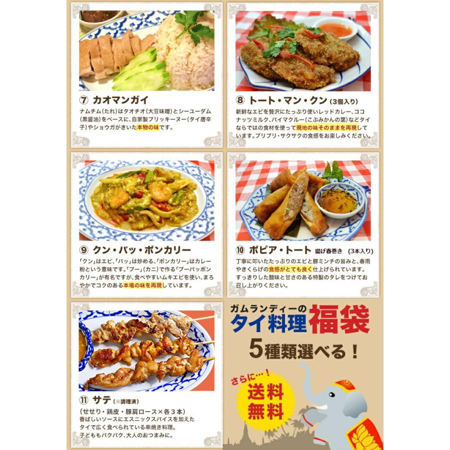 【送料無料】選べる5種類！ガムランディーのタイ料理福袋｜gamlangdii-store｜04