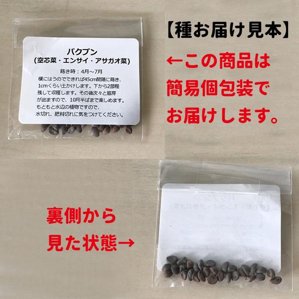送料無料 希少種 バイカパオ デーン 赤ガパオ 赤ホーリーバジル の種子 約50粒 T50j ガムランディーストアヤフー店 通販 Yahoo ショッピング