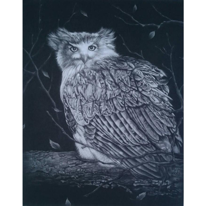 生田宏司　コタンコルカムイ・出会いの間　メゾチント（銅版画） |  | 01