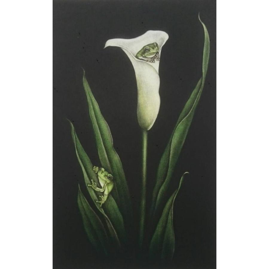 生田宏司　「二匹の雨蛙　II」　　カラーメゾチント | 