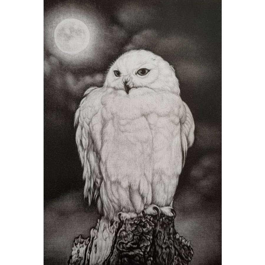 生田宏司　「Full　moon」 | 