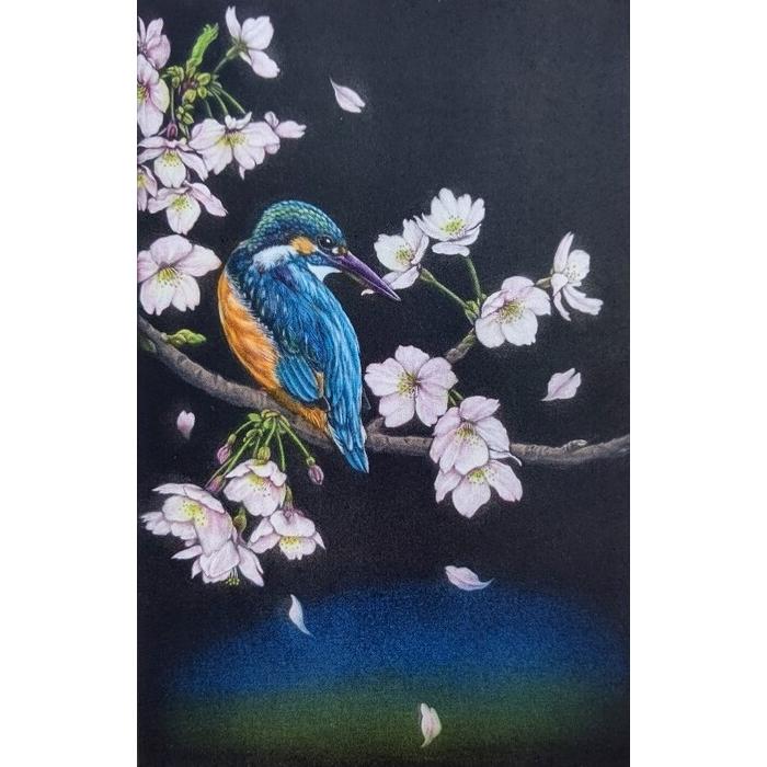 生田宏司　「桜に翡翠」　カラーメゾチント | 