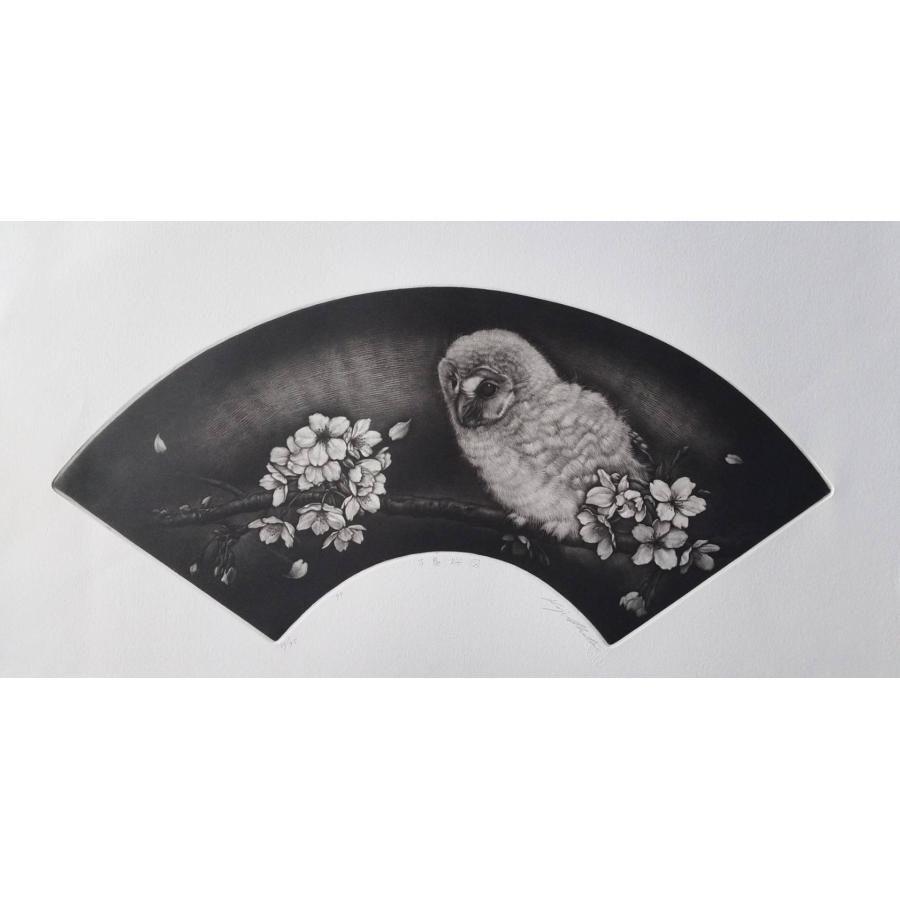 生田宏司　「子梟桜図」　メゾチント　　　　　　　　　ドービニー美術館コレクション作品　　　　　　　　　　　　470×220mm | 