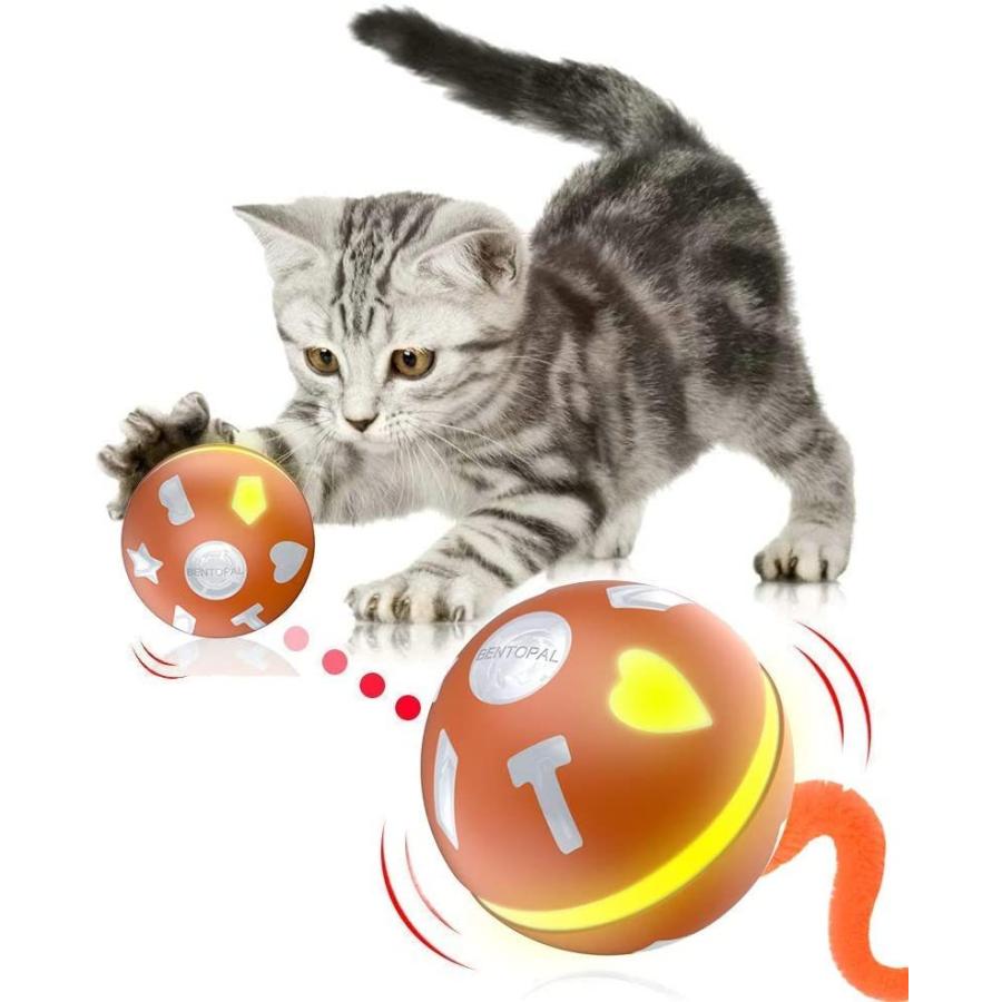 日本限定モデル 猫 自動 オレンジ 玩具 ペット用 電動おもちゃ 犬用おもちゃ 光るボール Led ボール 猫用おもちゃ 人気 おもちゃ 猫用品 Www Kochi Shokokai Jp