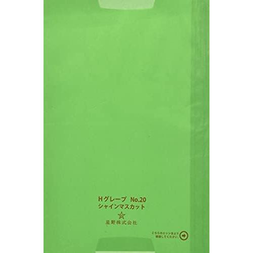 星野株式会社 果実袋 シャインマスカット用20号｜ganarrice-store｜02
