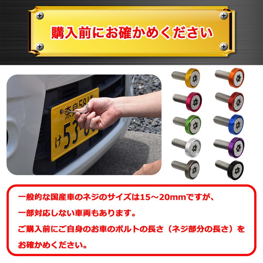 ナンバープレート 盗難防止ボルト 車 盗難 いたずら 防止 ナンバーボルト ナンバー セキュリティ ステンレス製 ネジ 軽自動車 _ セキュリティー ボルト _ NTB01
