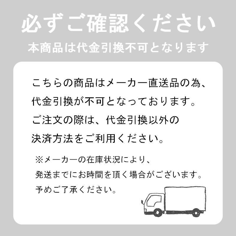 兼房 エース 替刃チップ 溝付チップ 替刃No.405 寸法L40 寸法W5.5 寸法T1.1 包装：C 10枚入 1ケース【代引不可商品】｜ganbariya-shop｜04