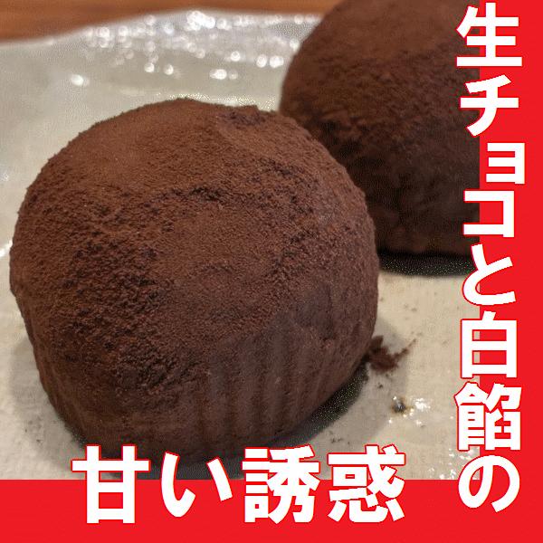 【ラヂオきしわだ】【生チョコ大福】岸和田風月堂　生チョコ大福6個入り | 