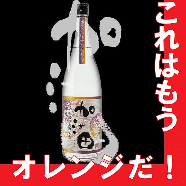お歳暮 2025 芋焼酎 加江田パープルオレンジ　1800ml（宮崎県産地酒）限定品 | 