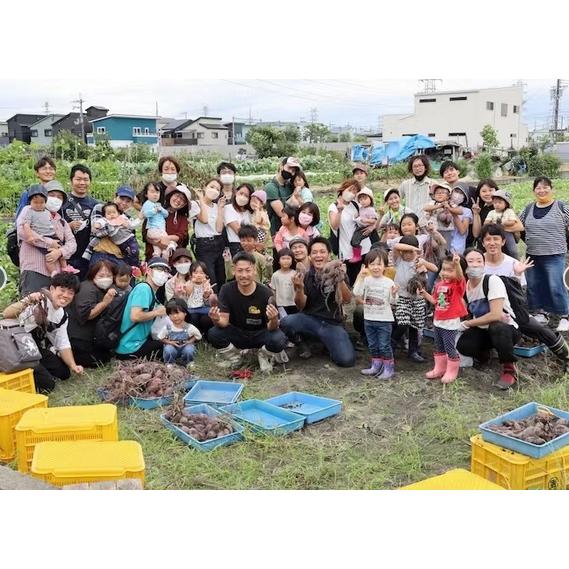 大阪芋焼酎　阿呆に合う　夢シルク芋けんぴ55ｇ |  | 04