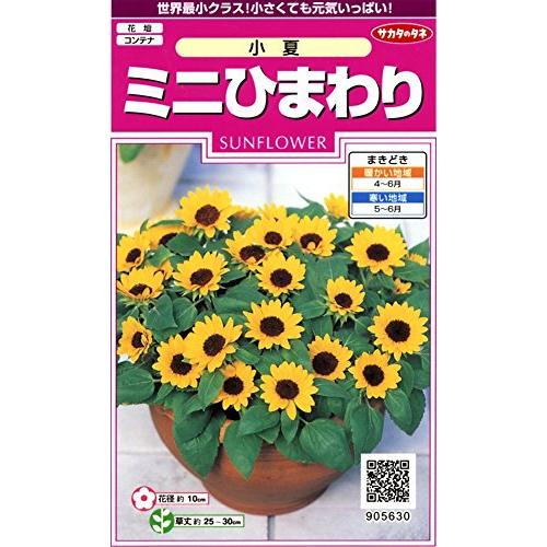 サカタのタネ 実咲花5630 ミニひまわり 小夏 00905630 : ガンダ