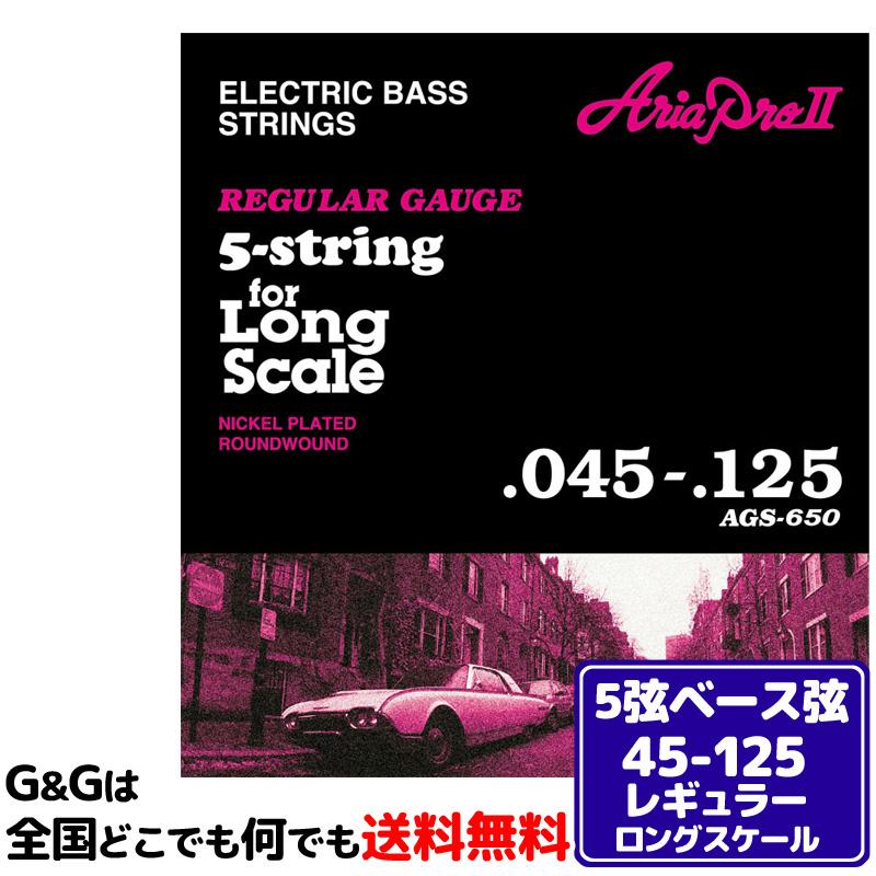 SALE／87%OFF】【SALE／87%OFF】AriaProII ５弦ベース弦セット AGS-650 アリアプロ -5-string, Long  Scale- ギター、ベース用パーツ、アクセサリー
