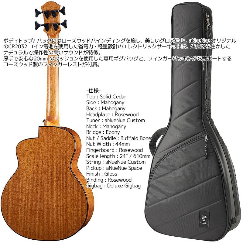 ベース アコベ アコースティック aNueNue アヌエヌエ aNN-MBS14E