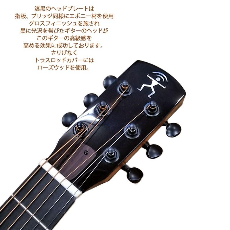 アヌエヌエ バードギター アコースティックギター aNueNue aNN-M32 