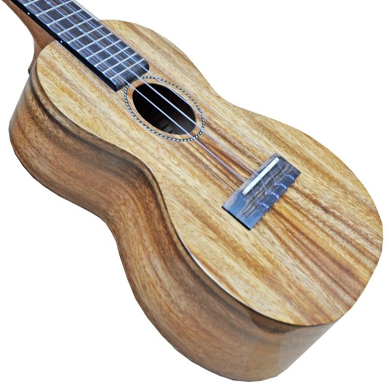 PONO「Acacia Deluxe Series PONO ACD CONCERT 」ポノアカシア 