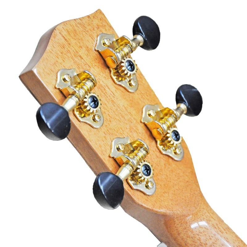 PONO「Acacia Deluxe Series PONO ACD CONCERT 」ポノアカシア 