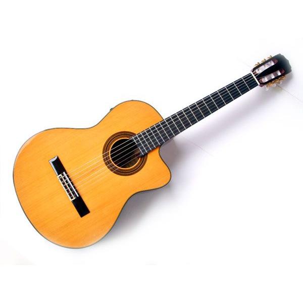 公式通販 Aria アリア クラシックギター A-35CE エレガット 10点セット オープニング 大放出セール to12too
