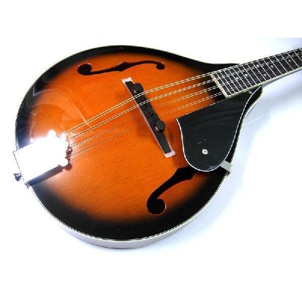 SALE／55%OFF】 Aria アリア AM-20 ベーシックモデル フラット