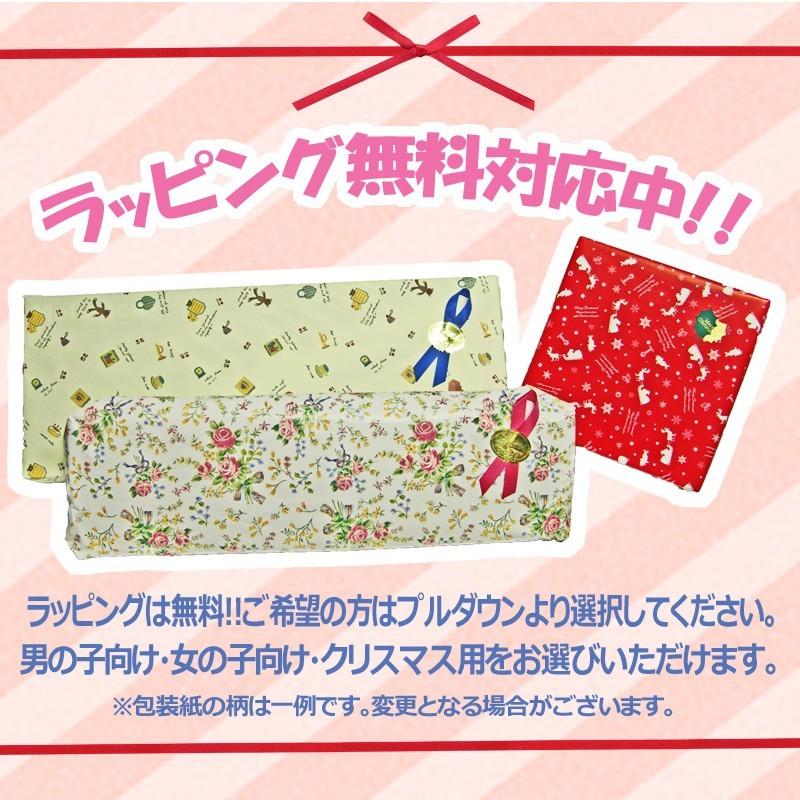 リズムポコ （ラッピング対応）バケットドラム RP-560/BKD 楽器玩具