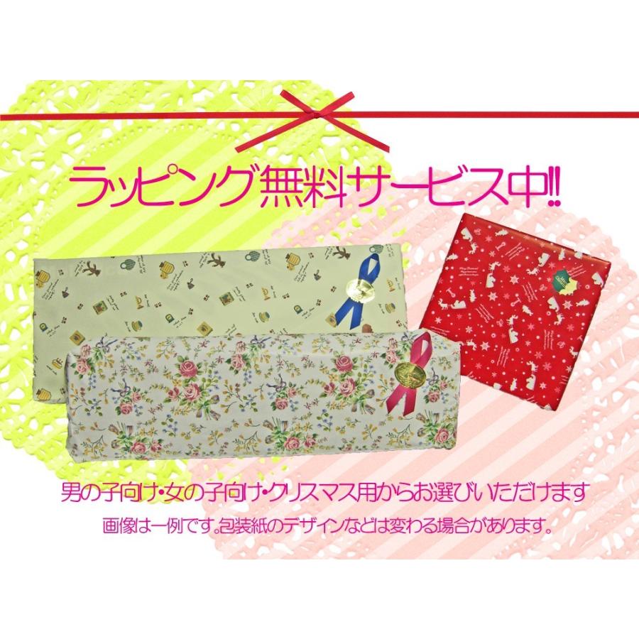 goldon ゴールドン メタロフォンサウンドチャンパー GD11090 鉄琴 お子様向け 楽器玩具の画像