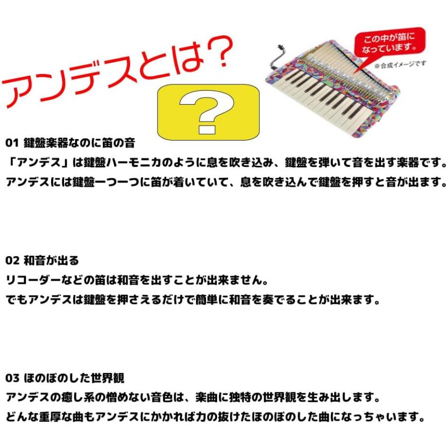 限定カラー スズキ アンデス25F スプラッシュと木製ハードケース 限定カラー スズキ アンデス25F スプラッシュと木製ハードケース