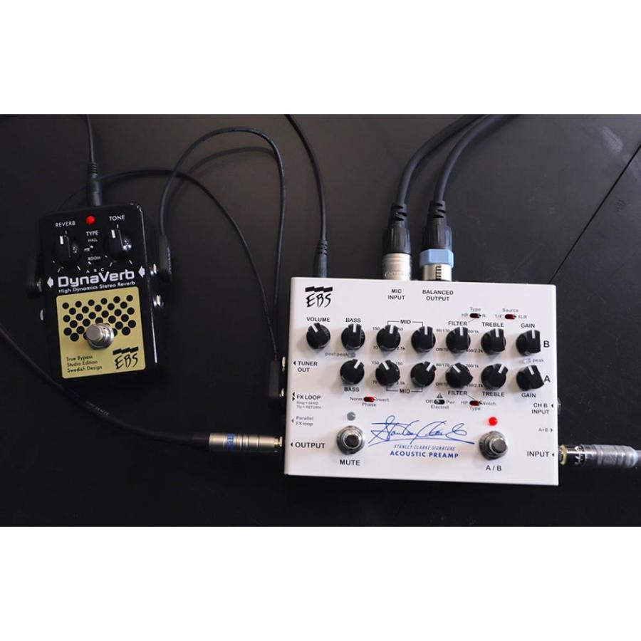 EBS Stanley Clarke Signature Acoustic Preamp_2