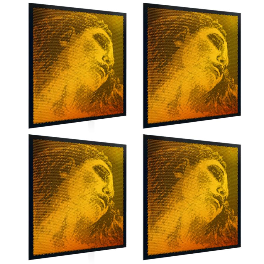 PIRASTRO ピラストロ エヴァピラッツィゴールド バイオリン弦 ボールド