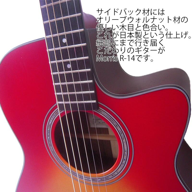 Morris MD-256T9 アコースティックギター サンバースト Morris MD-256T9 アコースティックギター サンバースト