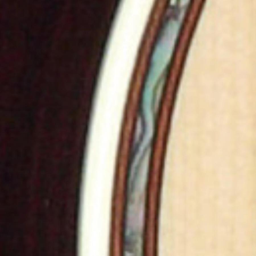Takamine タカミネ エレクトリックアコースティックギター 200 Series DMP200 N_2