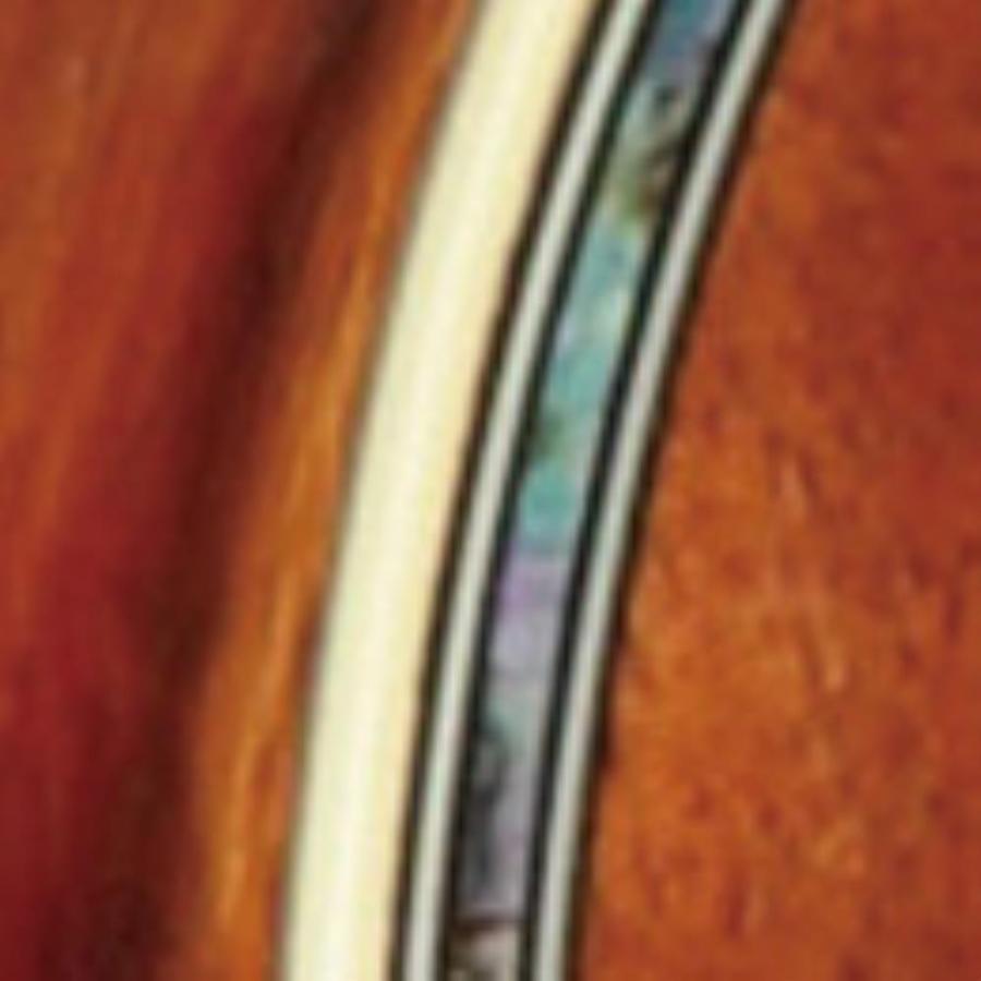 Takamine タカミネ エレクトリックアコースティックギター 400 Series DMP400 Nの画像