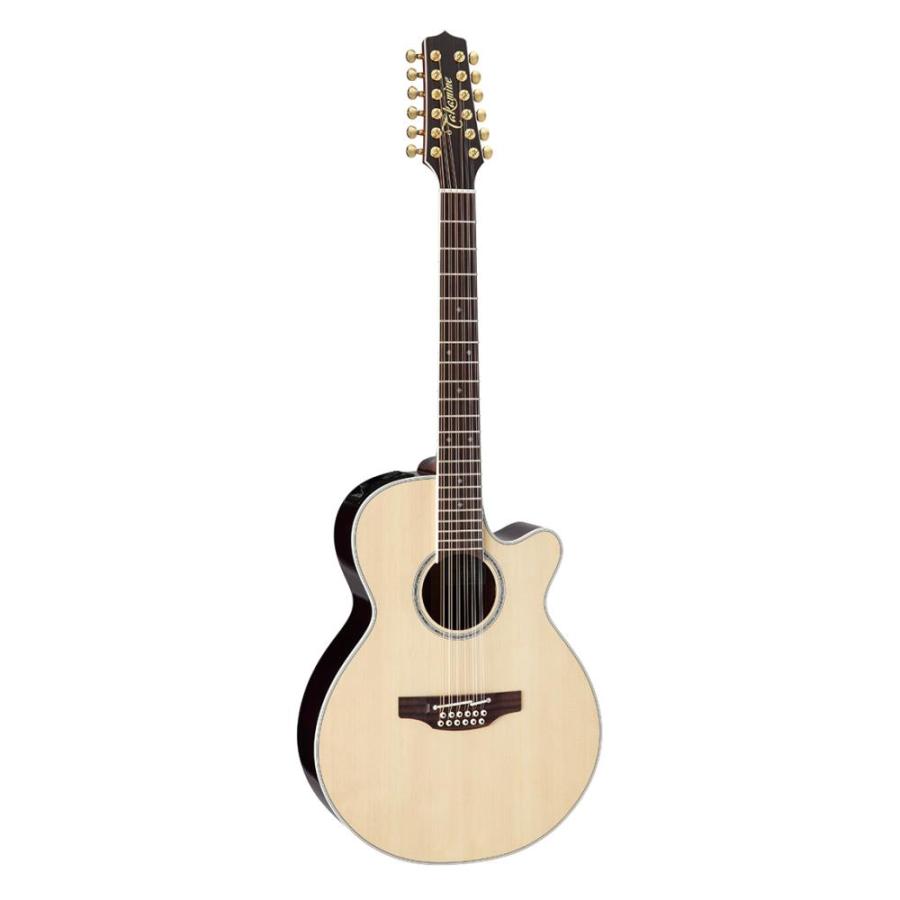 Takamine タカミネ エレクトリックアコースティックギター 100 Series
