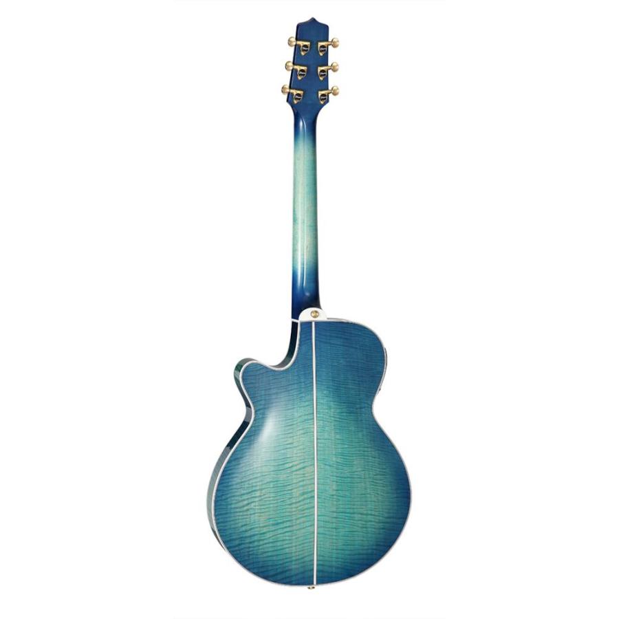Takamine タカミネ エレクトリックアコースティックギター 100
