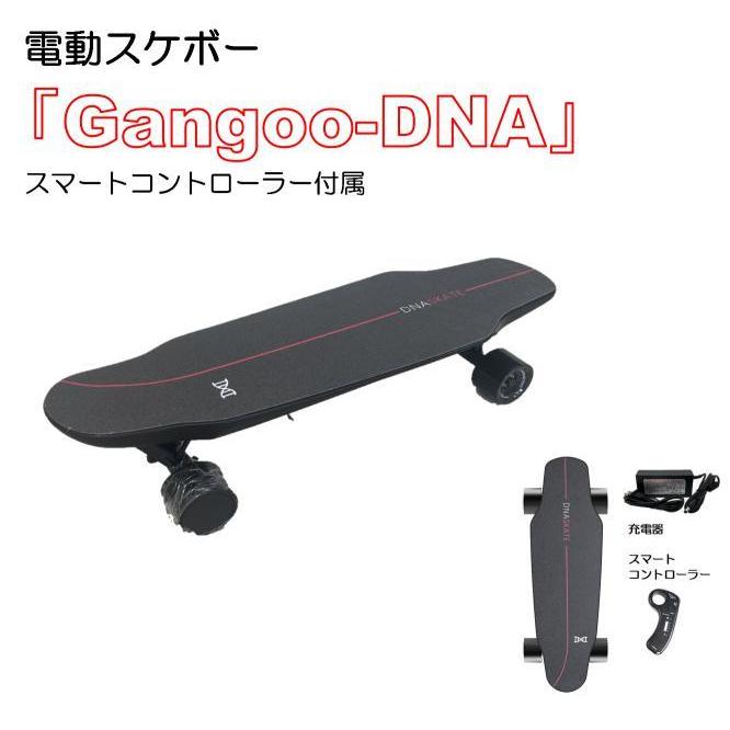 【Ride On】 電動スケボー スケートボード スマートコントローラー 永年修理サービス 『Gangoo-DNA』｜gangoo