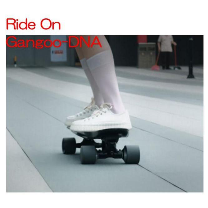 予約6月発送【Ride On】 電動スケボー スケートボード スマート 予約6月発送【Ride On】 電動スケボー スケートボード スマート