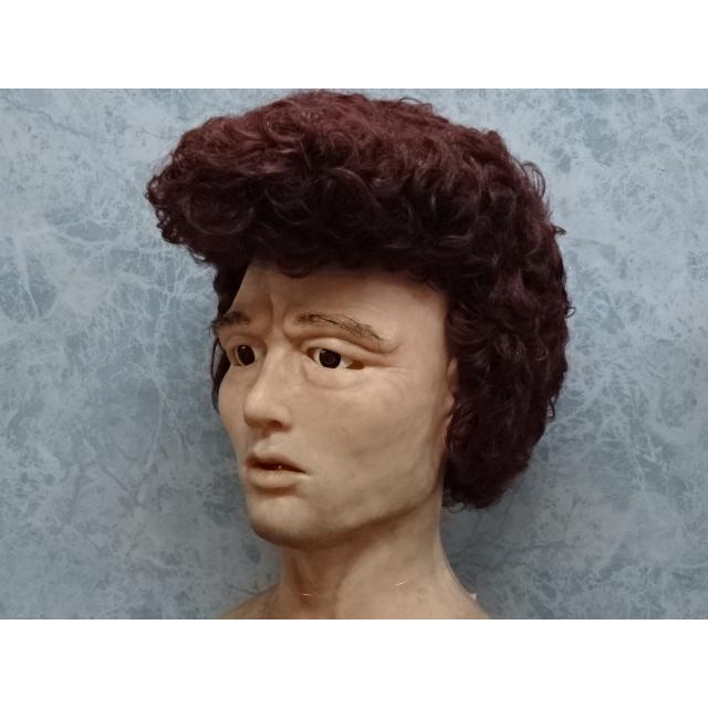 バリバリ リーゼントカツラ（ブラウンカラー）・宴会余興、演劇等で笑いの取れるかつらです 1712101玩具問屋 上野屋 通販 Yahoo!ショッピング