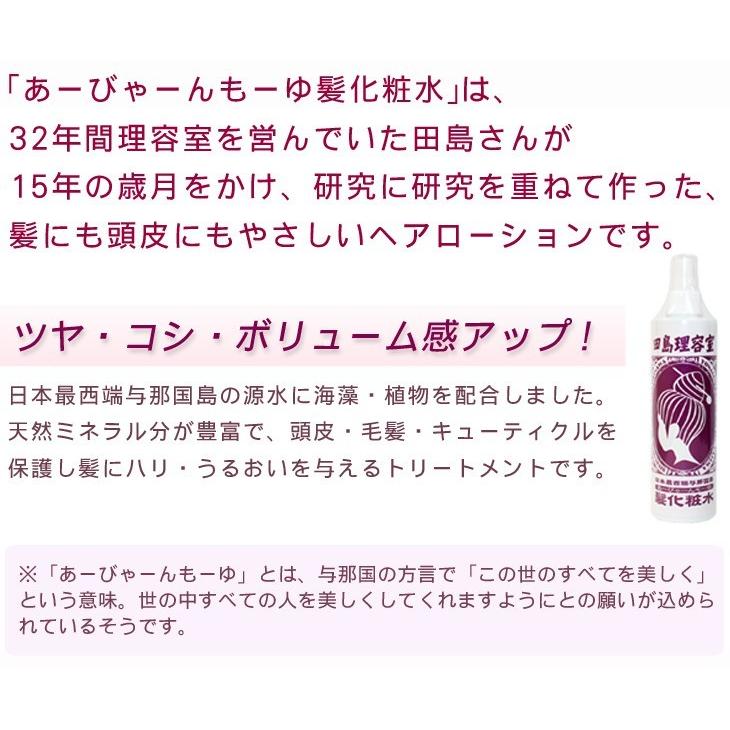 専用ヘアーローション➕ 田島理容室ヘアーローション髪化粧水 300ml （LP） : 沖縄健康市場