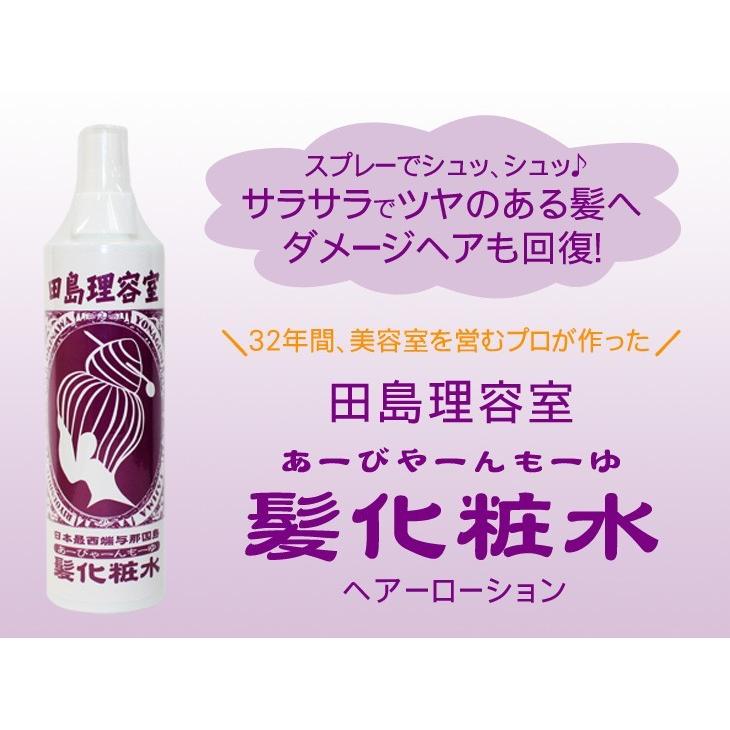 田島理容室 髪化粧水 （あーびゃーんもーゆ）300ml×2本セット ヘアー