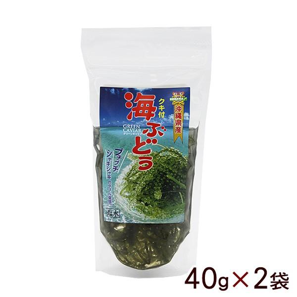 海ぶどう 塩水漬け 茎付き 40g×2袋 （メール便）　/平良商店｜ganju