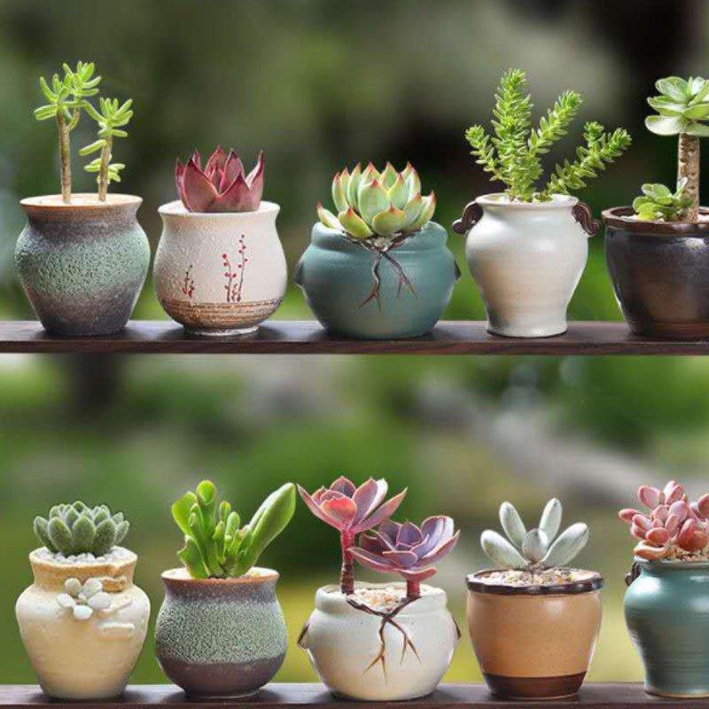植木鉢多肉植物鉢プランター陶器おしゃれな植木鉢鉢かわいい