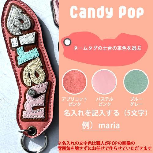 ネームキーホルダー オーダー ゴルフ 革 セレブ かわいい おしゃれ キャリーバッグ ベビーカー 名入れタグ 車 スワロスキー ブランド レザー 芸能人 名前入れ |  | 03