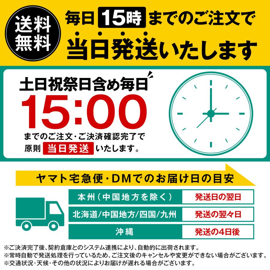 ネックピロー ポンプ式 空気 エアー 折りたたみ コンパクト 飛行機 車 首枕 洗える U型 旅行 新幹線 夜行バス 携帯枕 トラベルピロー | ブランド登録なし | 19