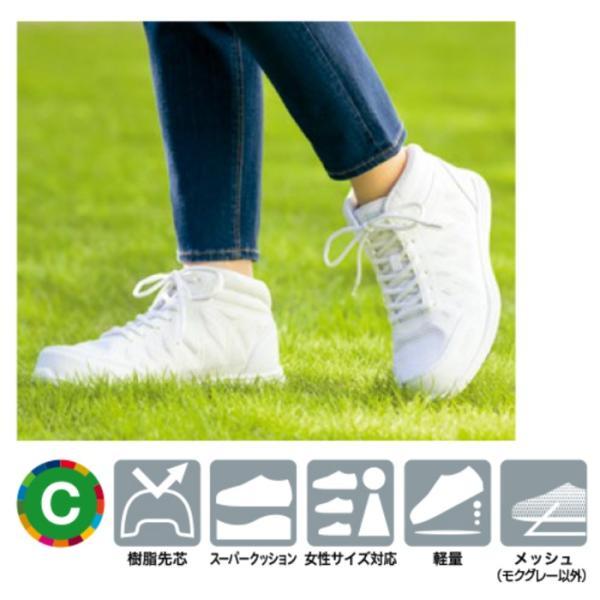 アイトス 安全靴 [ アイトス タルテックス AITOZ TULTEX AZ-51666