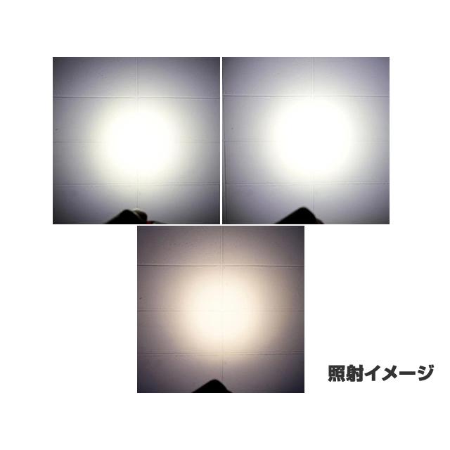 冨士灯器 ZEXUS LED LIGHT ZX-199 : アウトドア用品 ガオバブSHOP