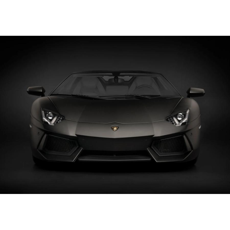 1/8 ポケール Pocher ランボルギーニ アヴェンタドール LP700-4 ポケール ランボルギーニ アヴァンタドール 1/8スケール pocher